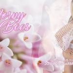 SG Parties - Horny Bees am 20.04 in Saarbrücken Bild